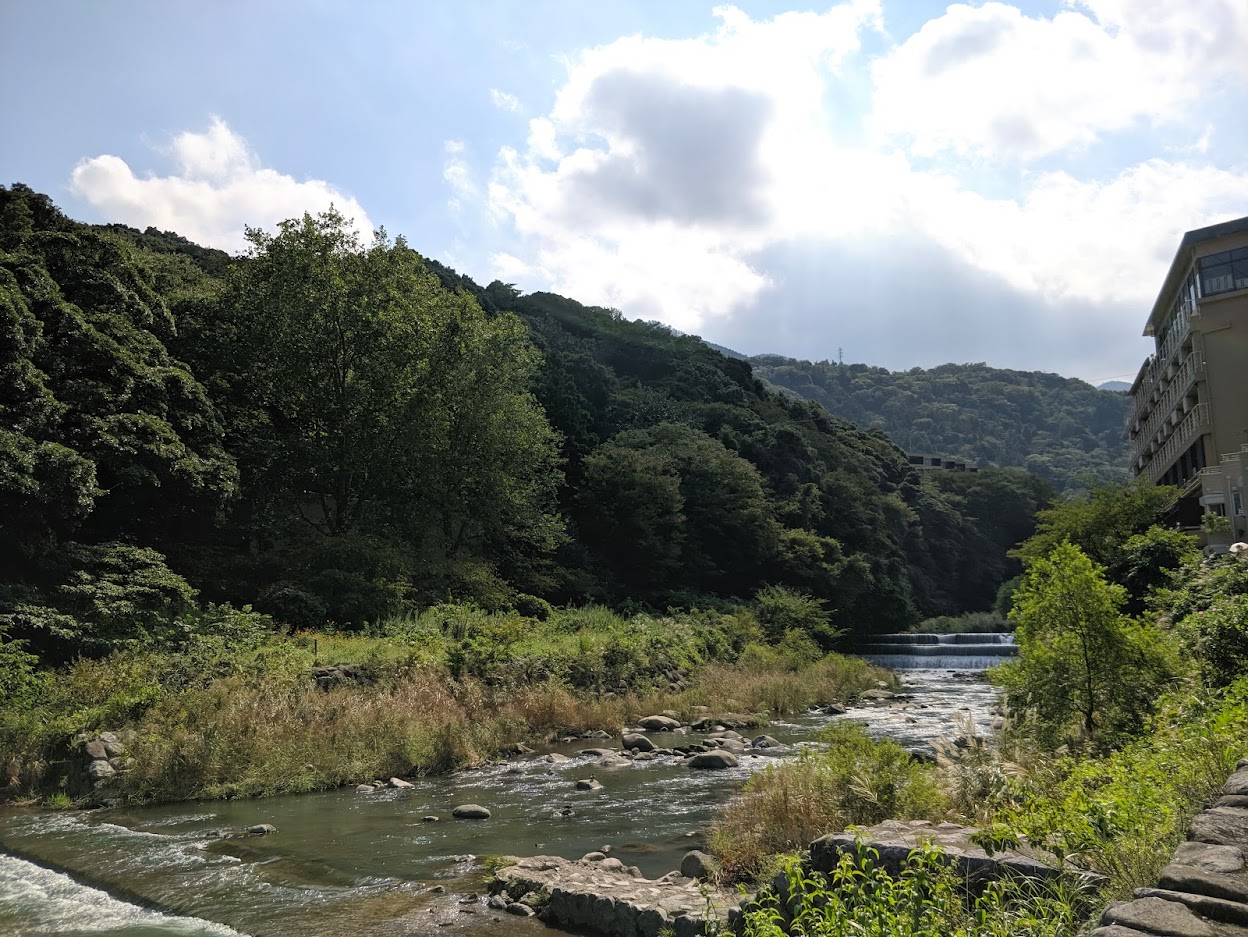 Picture of a small river